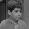 Vasilis Kailas as Young Dimitris(Vasilakis Kailas)