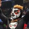 Mascarita Dorada as El Torito (voice) (as El Torito)