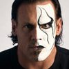 Steve Borden as Sting