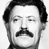 Aleksandr Samulekin