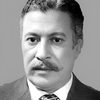 Emad Hamdy as Anis Zaki