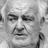 Alan Devlin as Malone