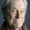 Gordon Pinsent as The President