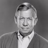 Allan Melvin as Desk Sergeant