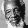 Dick Gregory as Self (uncredited)