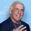 Ric Flair as Self