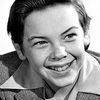 Bobby Driscoll as Johnny