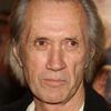 David Carradine as Mr. Wise