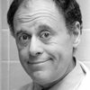 Bob Dishy as Jerry