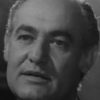 Giorgos Loukakis as Thodoros