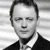 Robert Urquhart as Johnson
