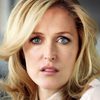 Gillian Anderson as Karen Morgan
