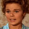 Sara Lane as Kit Austin