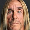 Iggy Pop as Self