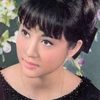 Chin Ping as Wei Wen-Chen