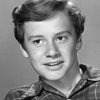 Johnny Washbrook as Johnny Sargeant