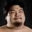 Hiroki Sumi as Sumi
