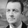 Grant Richards as Joe Darren