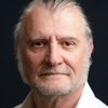 Miodrag Stojanovic as Borislav Jankovic