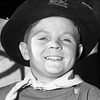 Lee Aaker as Johnny Briscoe