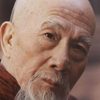 Wang Bing as Zhang Lan