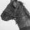 Ricsi as Horse