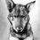 Rin Tin Tin as Lobo - Leader of the Wolf Pack(Rin-Tin-Tin)