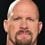 Steve Austin as Police Officer
