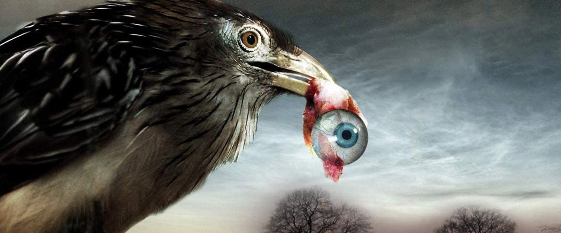 Flu Bird Horror background
