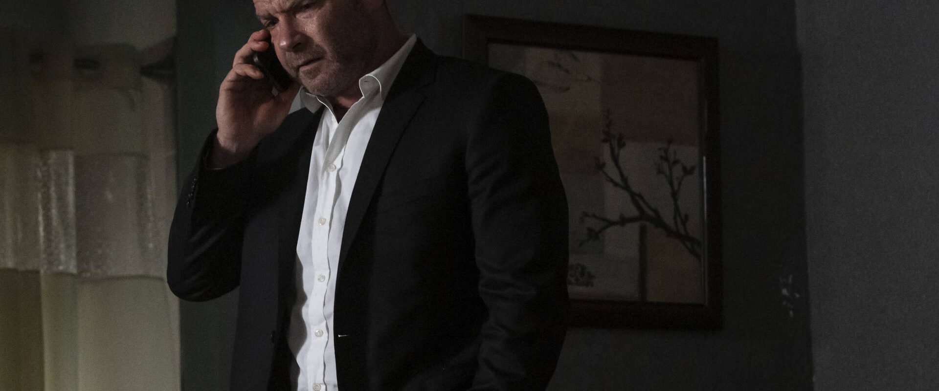 Ray Donovan: The Movie background