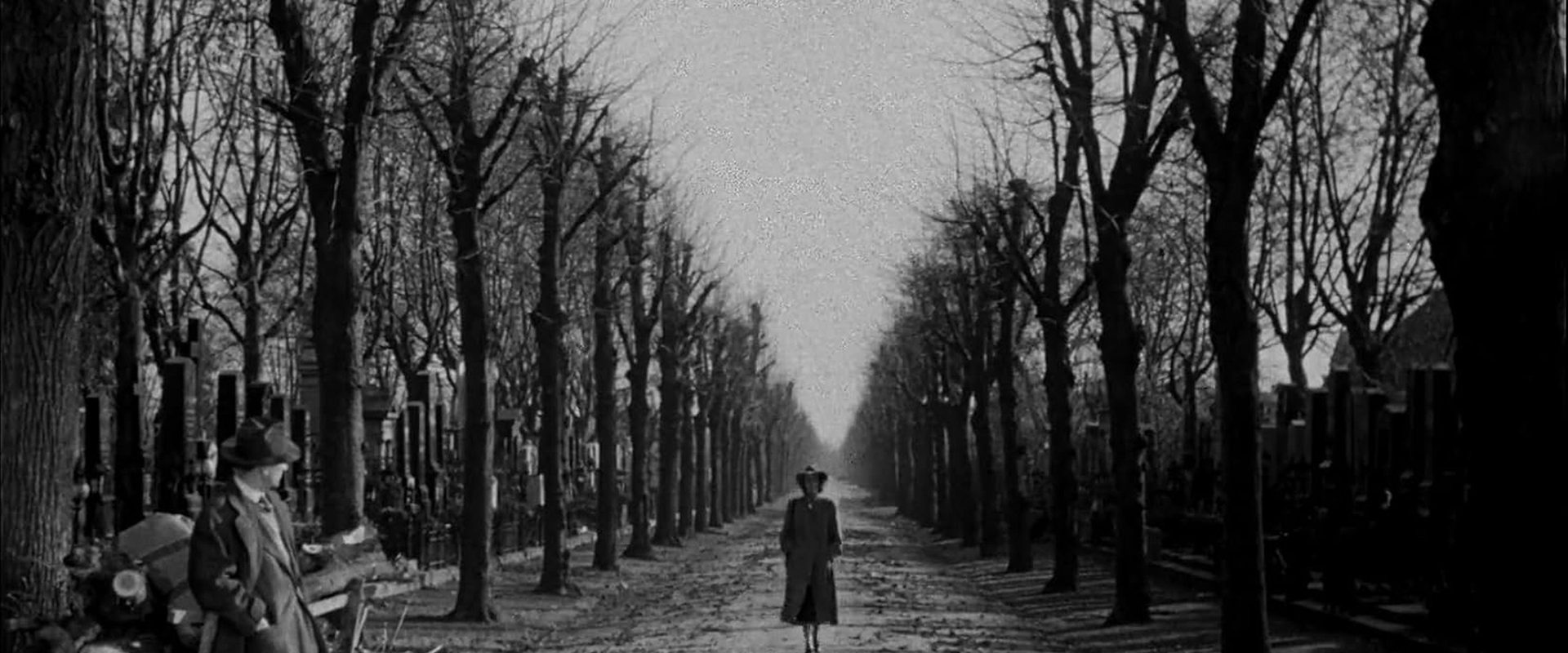 The Third Man background