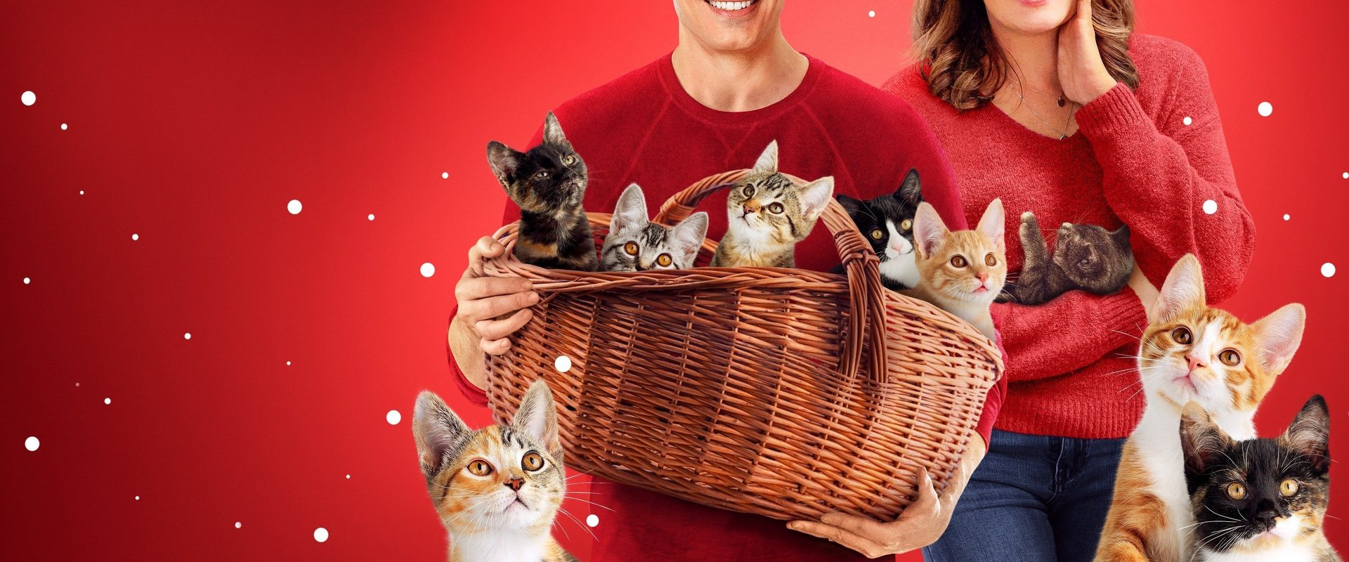 The Nine Kittens of Christmas background