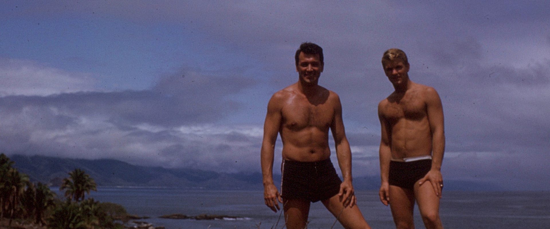 Rock Hudson: All That Heaven Allowed background