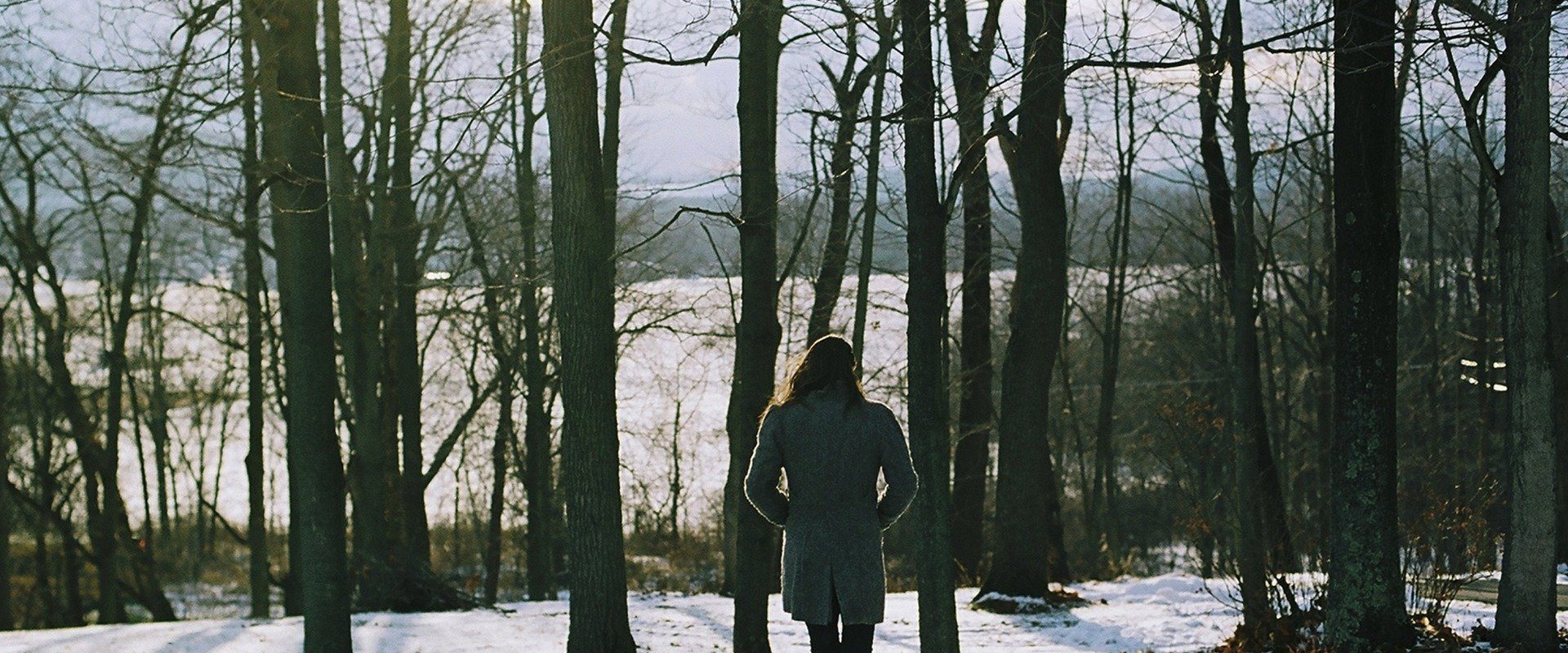 1/1 background