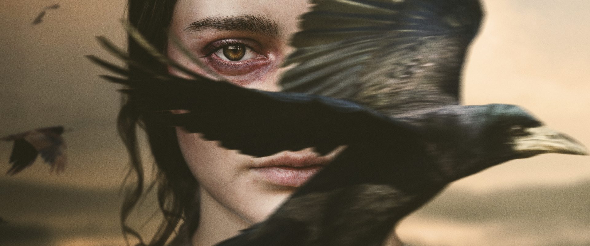 The Nightingale background