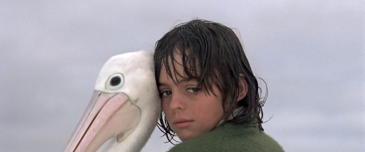Storm Boy background