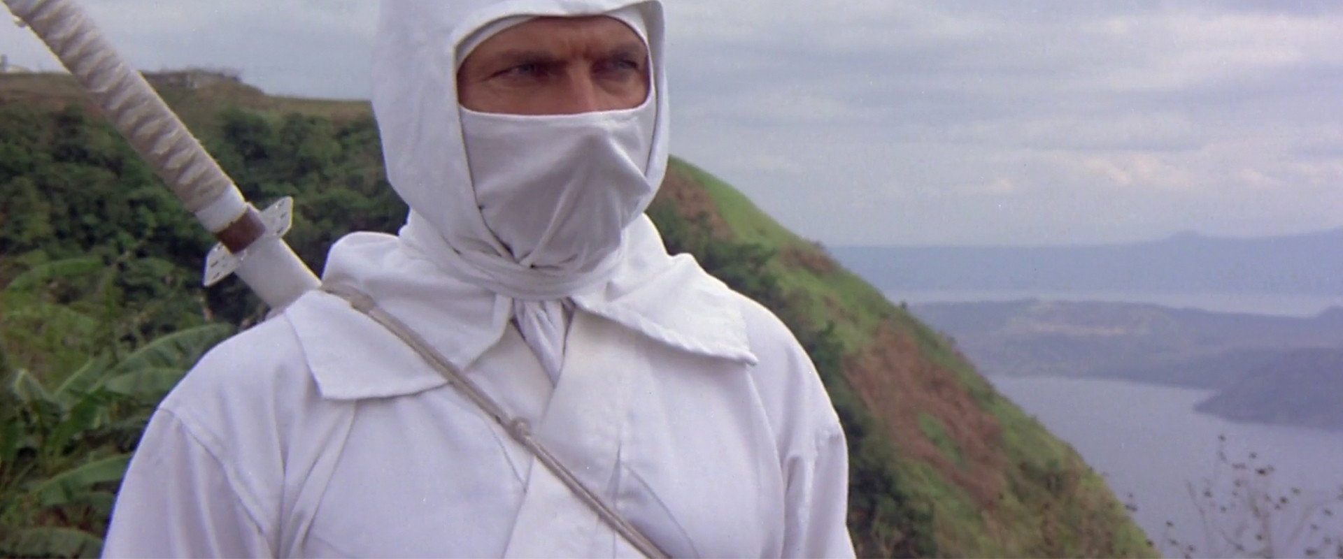 Enter the Ninja background