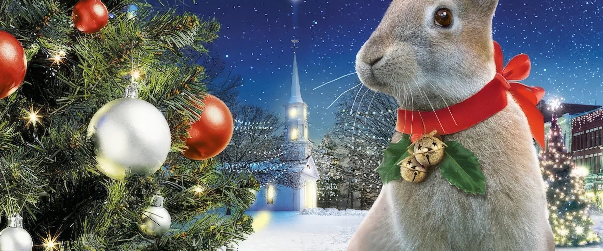 The Christmas Bunny background
