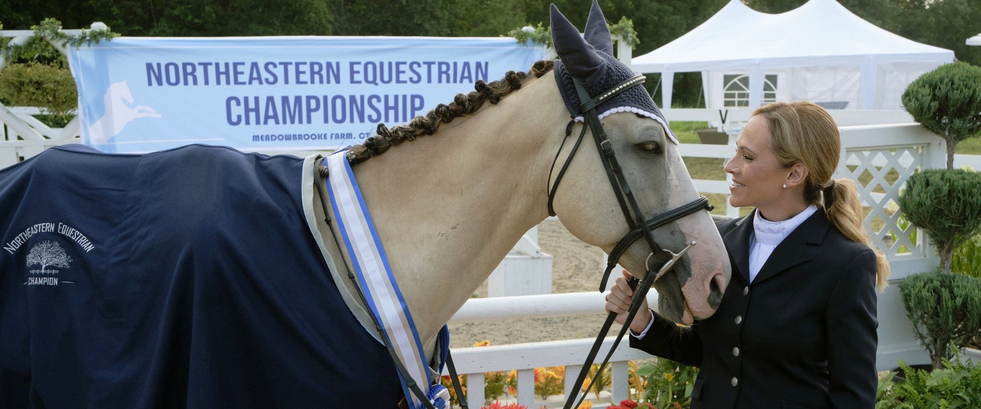 Taking the Reins background