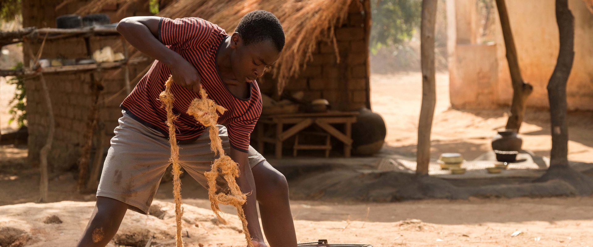 The Boy Who Harnessed the Wind background