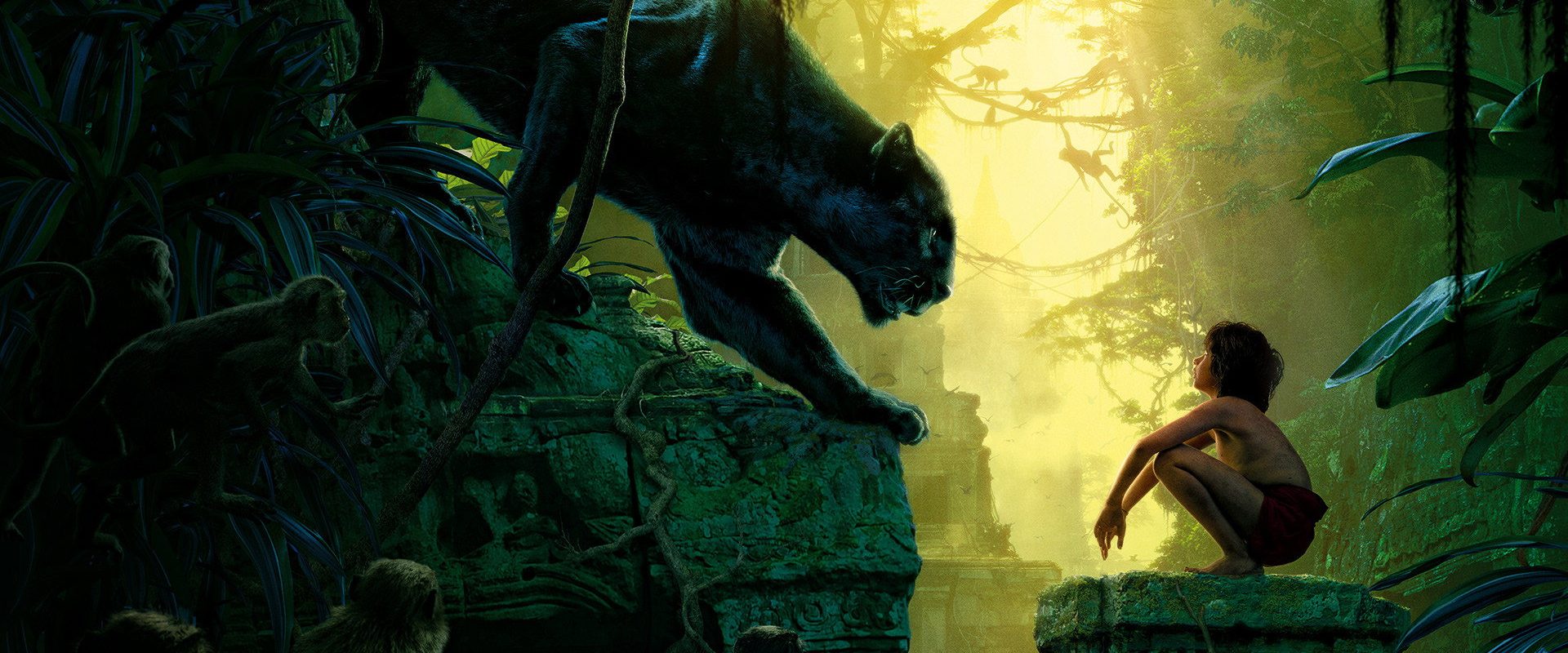 The Jungle Book background