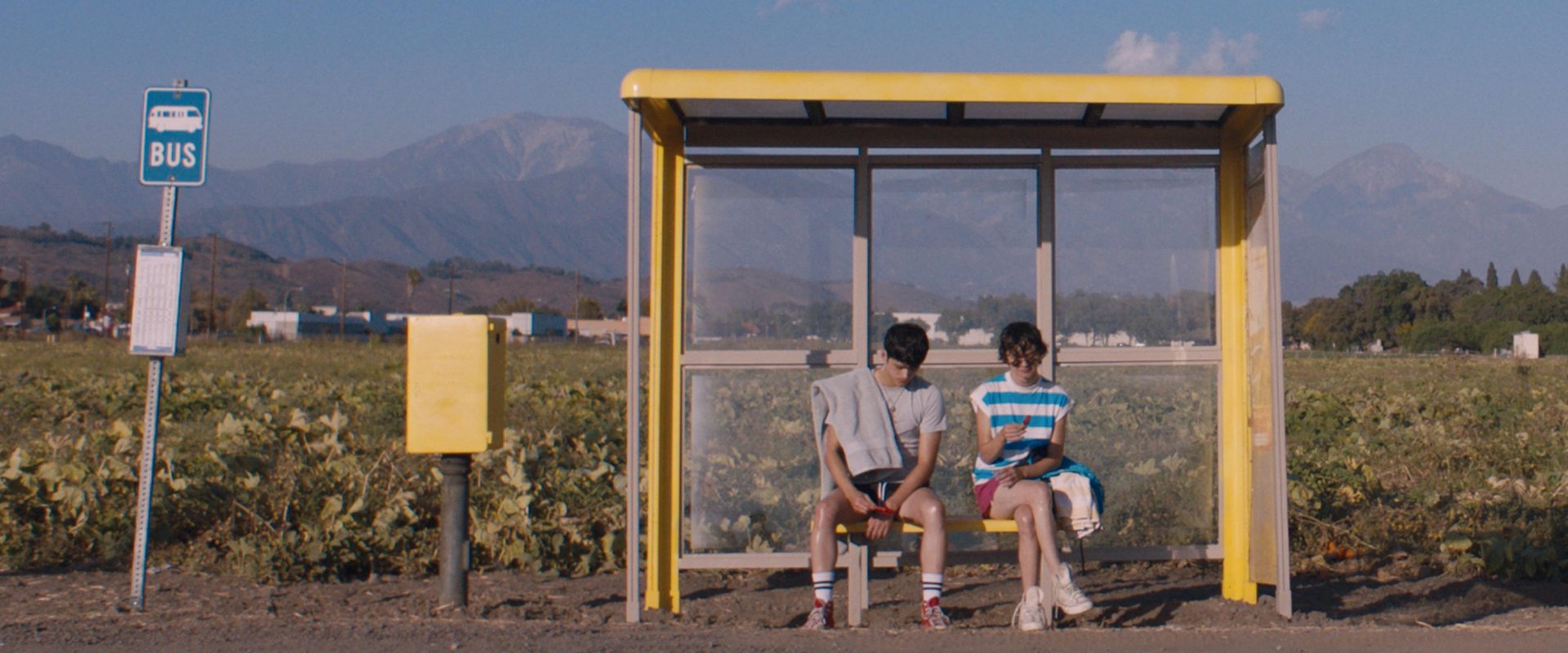 Aristotle and Dante Discover the Secrets of the Universe background