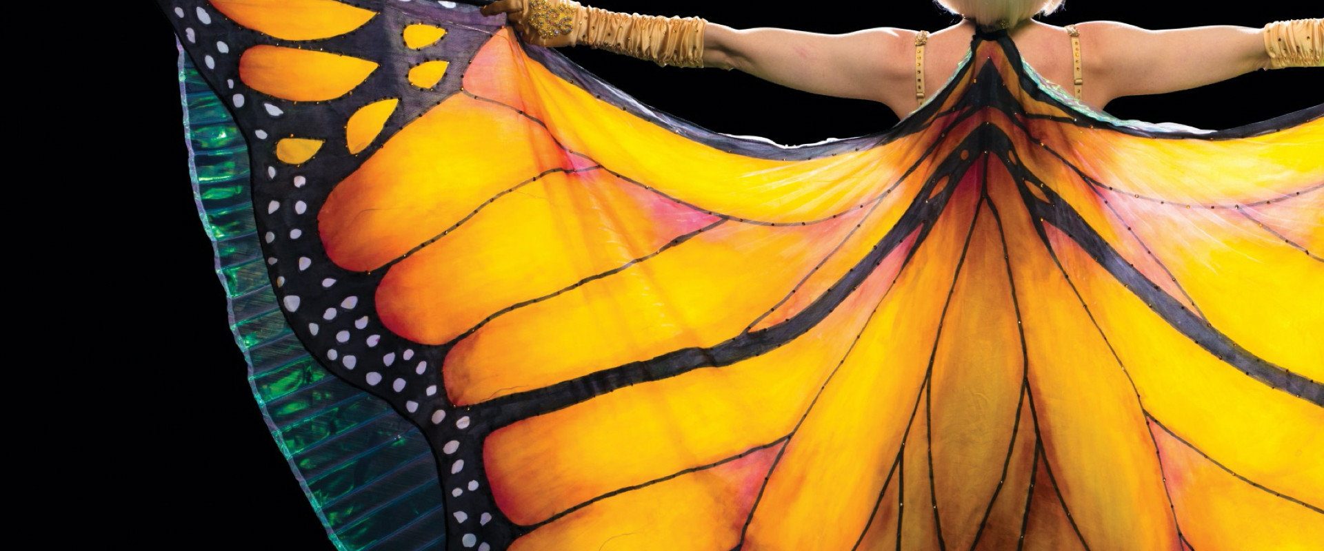 The Butterfly Tree background