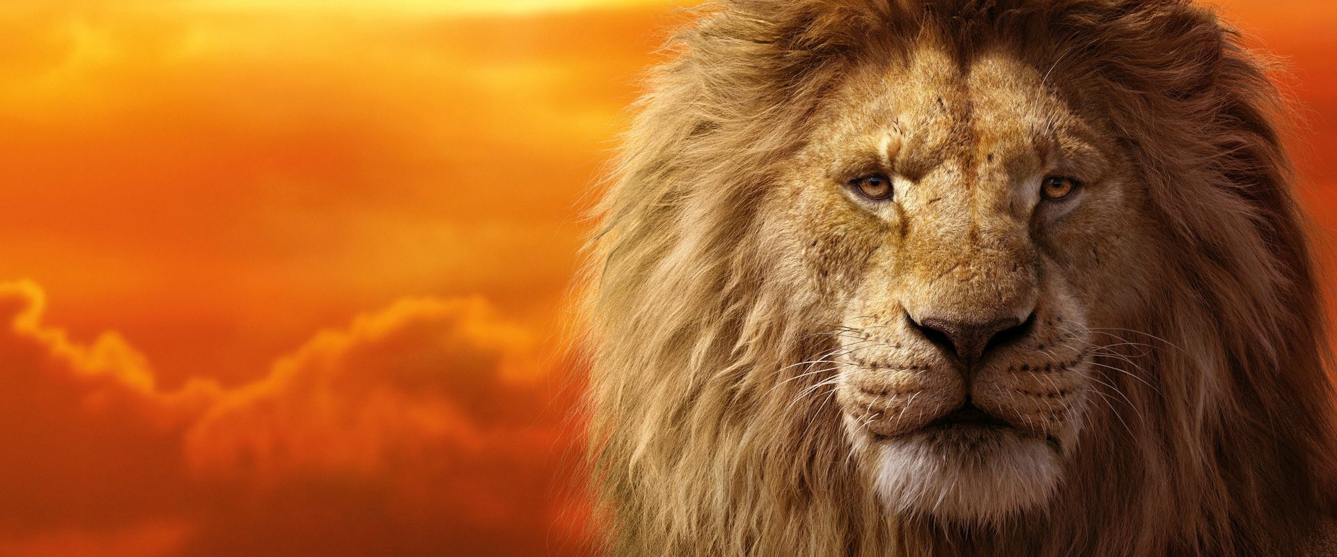 The Lion King background