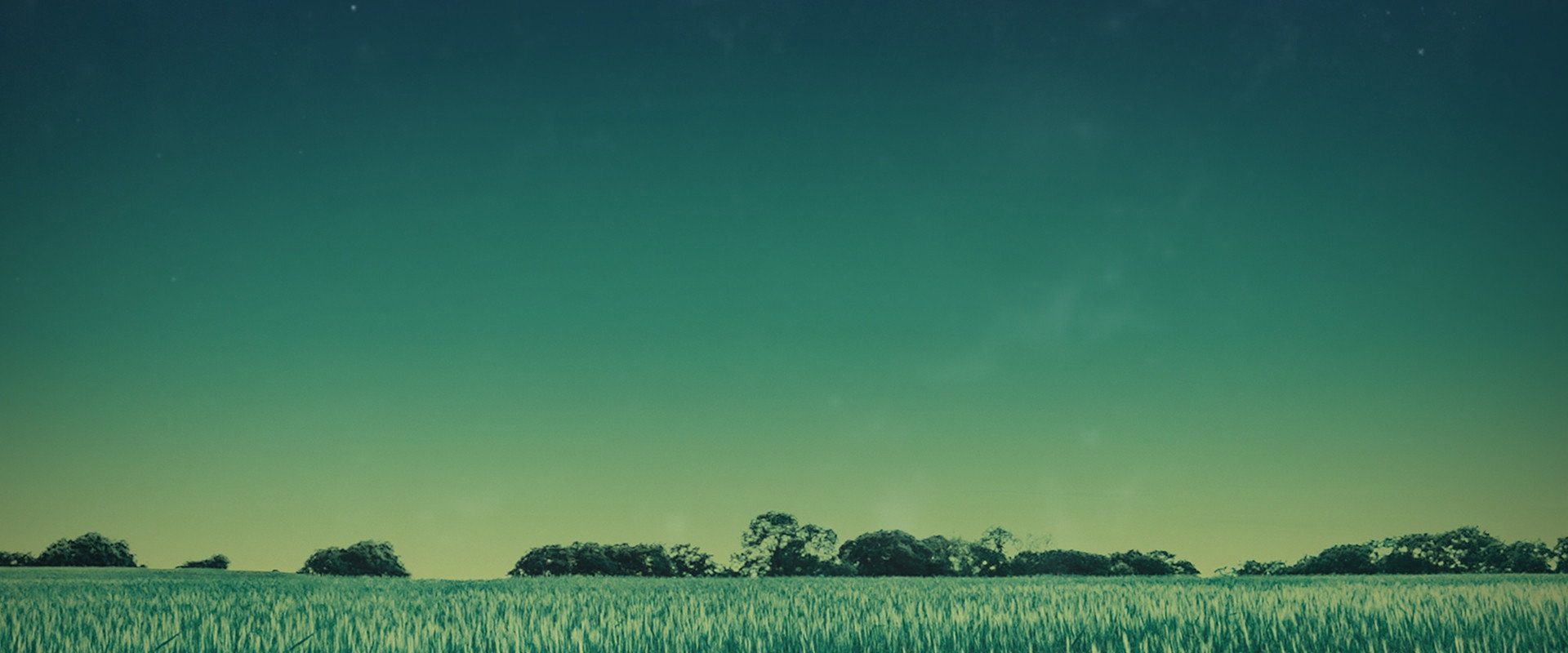 Moment of Contact background