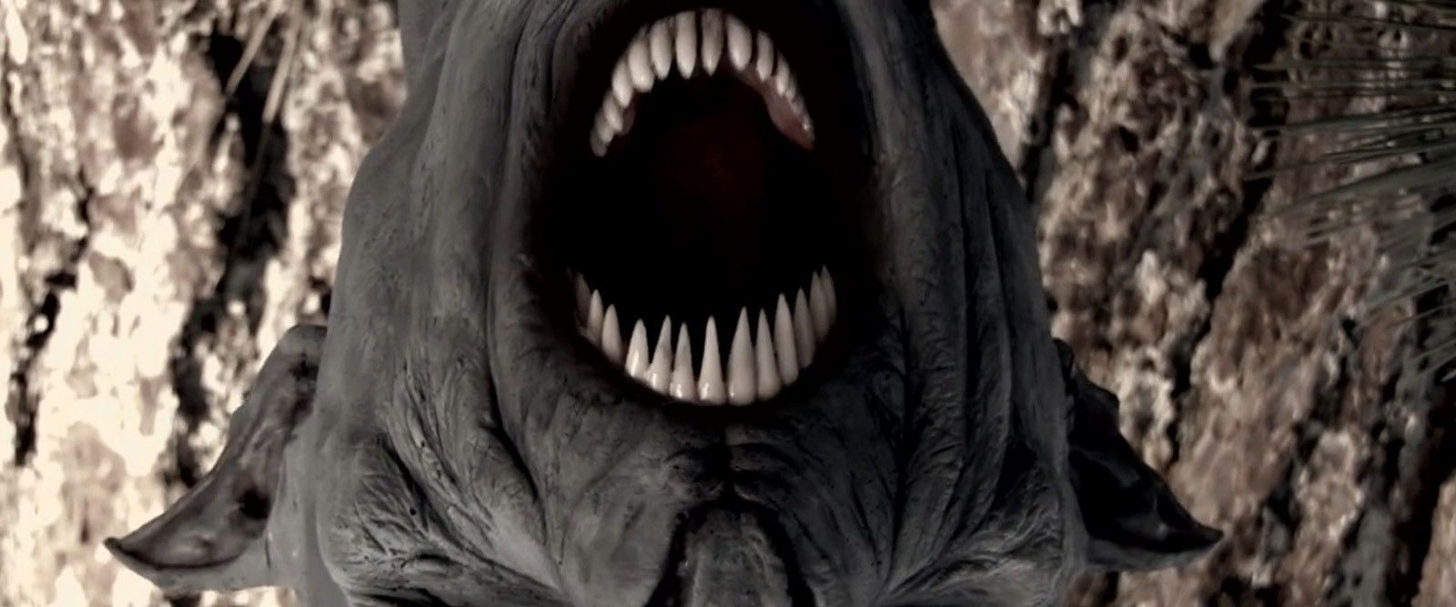 The Black Water Vampire background