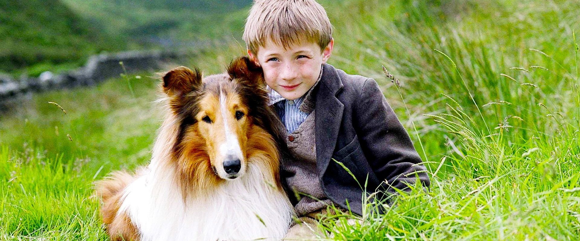 Lassie background