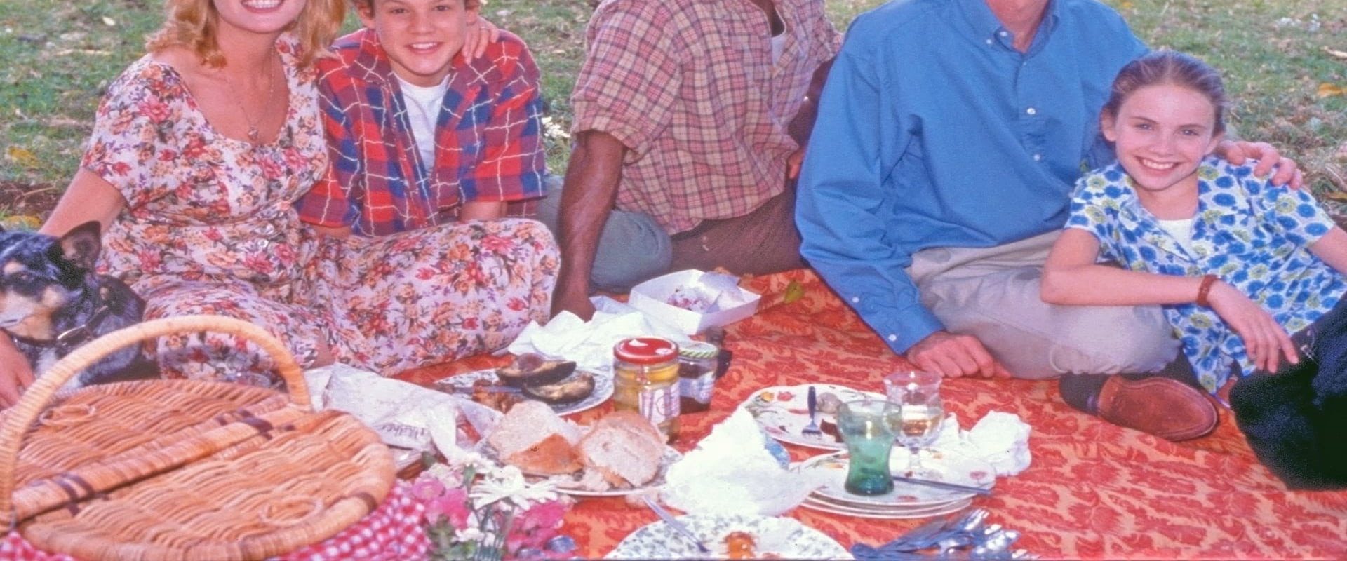 Joey background