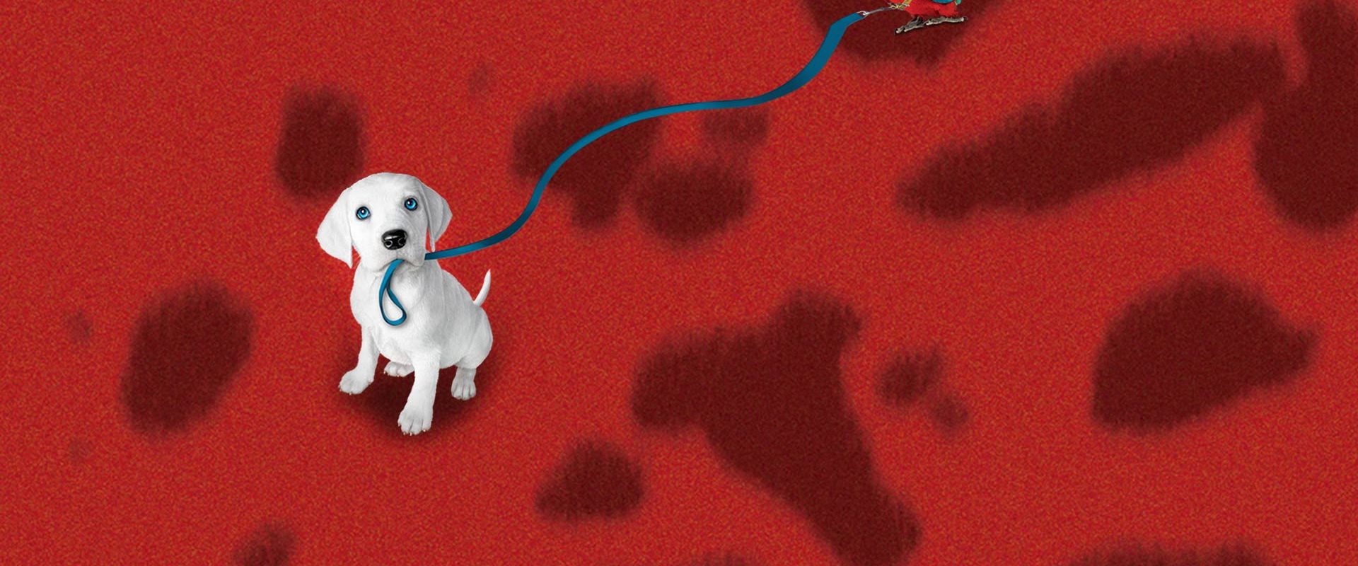 102 Dalmatians background