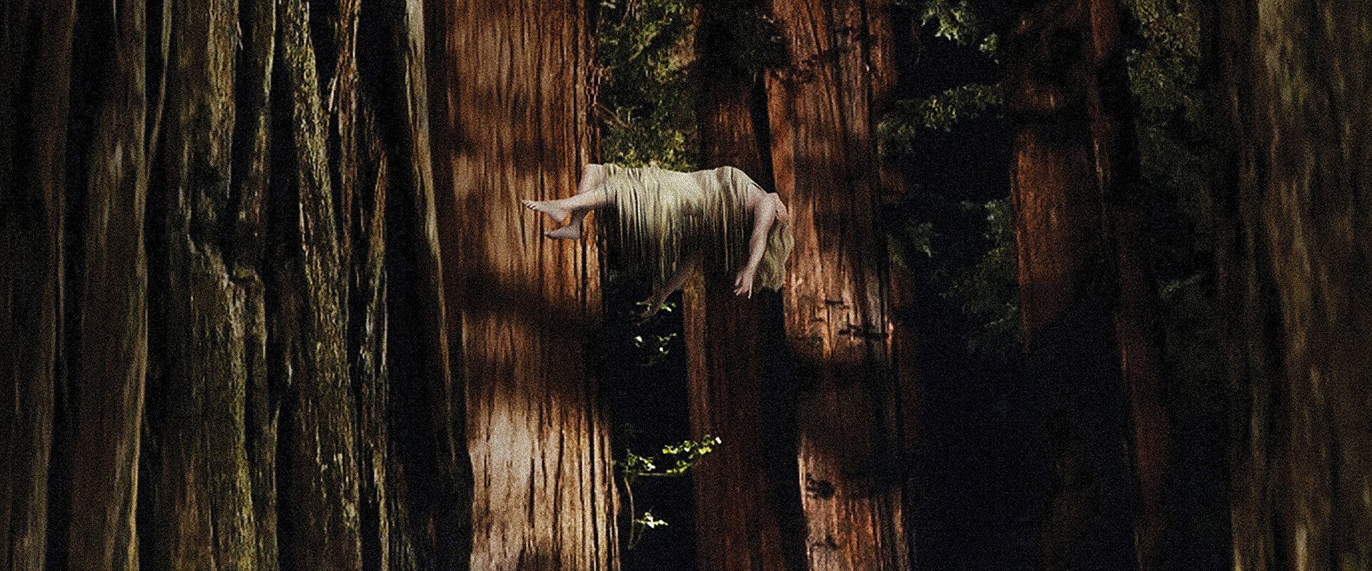 Woodshock background
